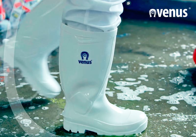 أجنحة اساسي مستعجل botas punta de acero - porkafellas.com